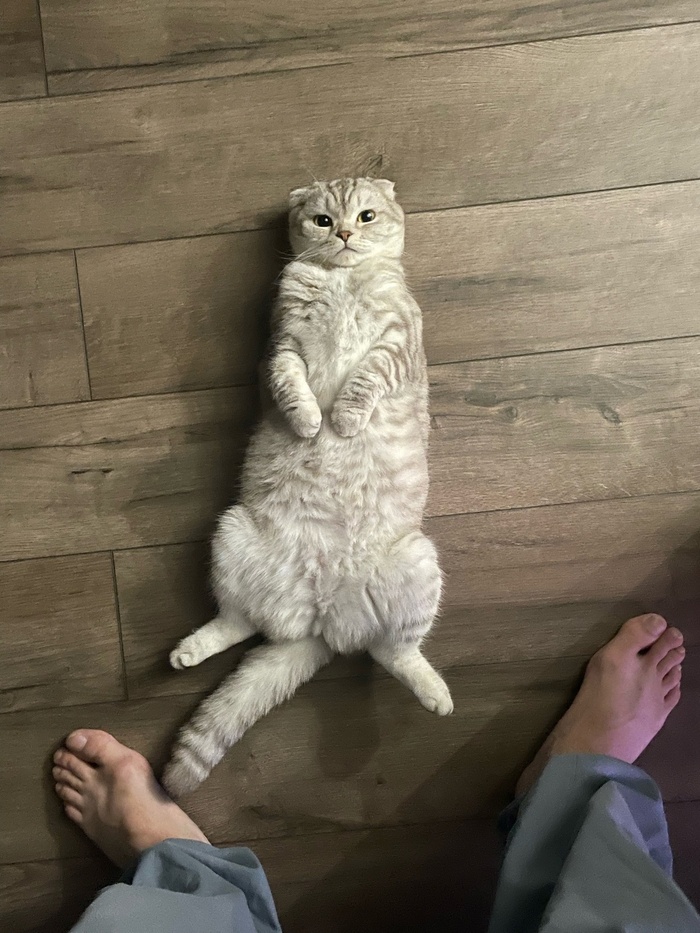 p.s. ������ 