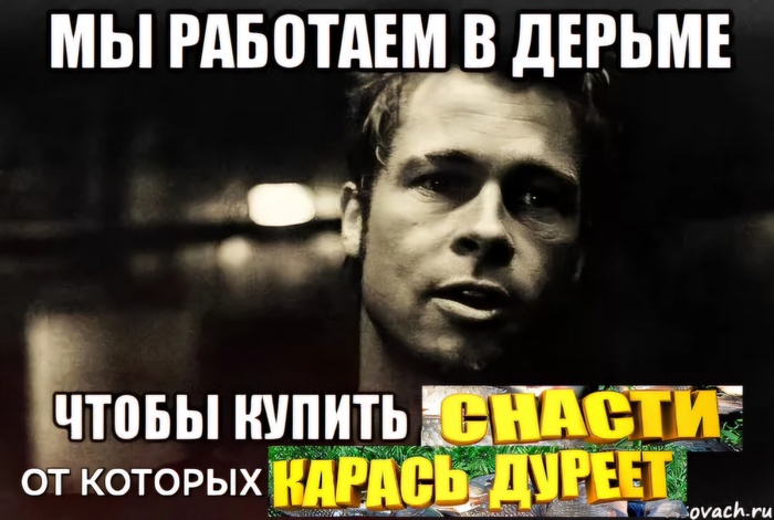 Where is my mind