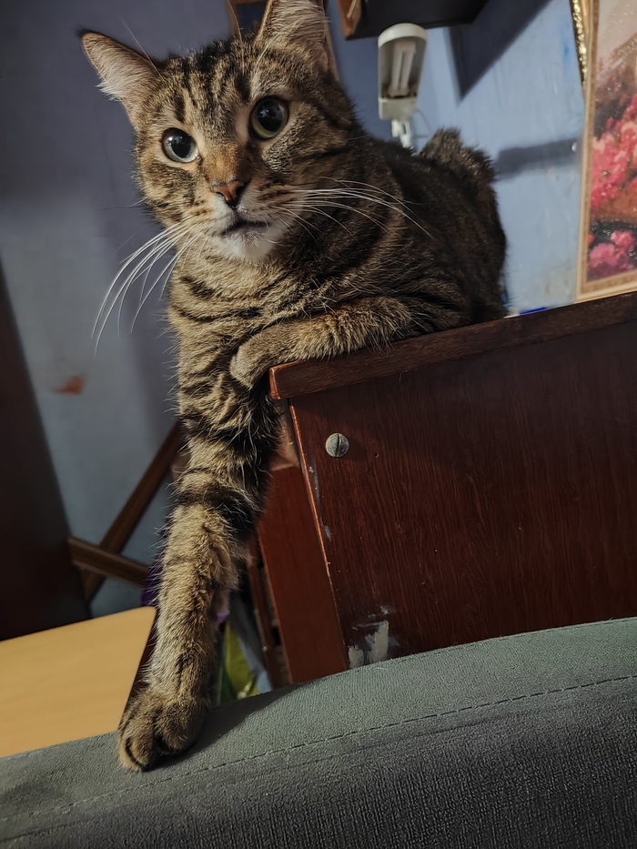 ��� ����  ���� � ����