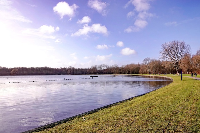 ������ ����� �����������(��������� ������� � ���).