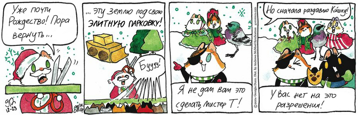 Котейкины Новости от 23.12.2024