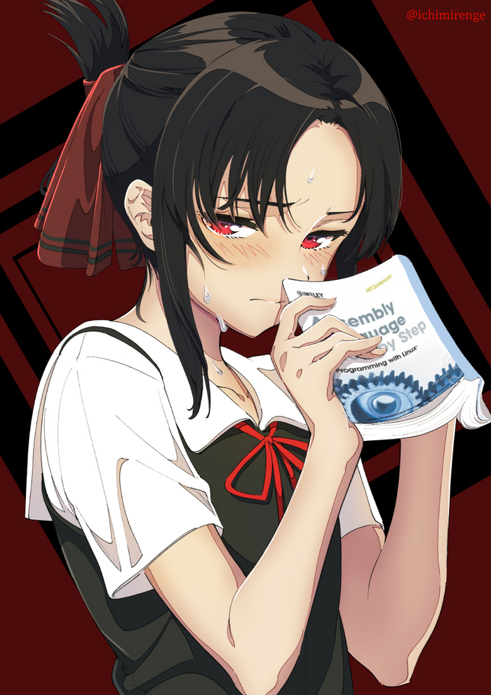   ,   - , Anime Art,  , Shinomiya Kaguya, Kaguya-sama wa Kokurasetai, Assembler, IT 