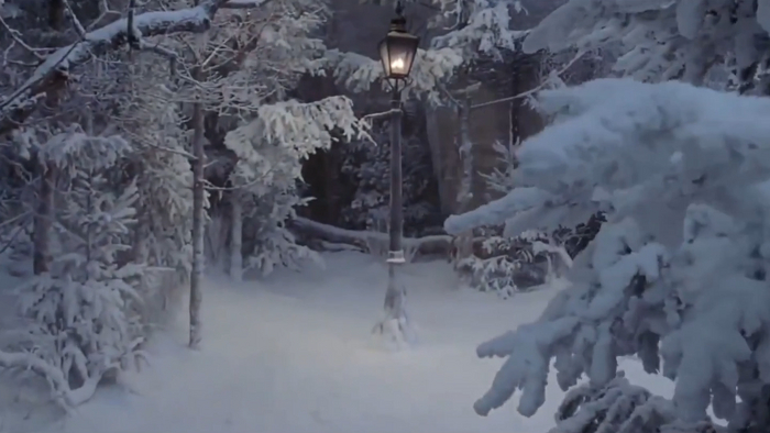 Соленые деревья из "Хроники Нарнии"