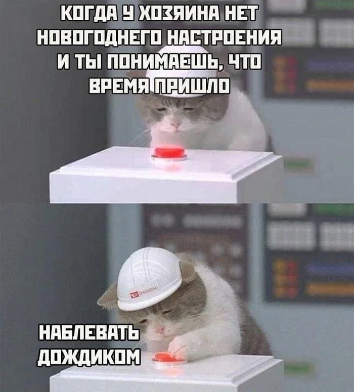    , ,  , 