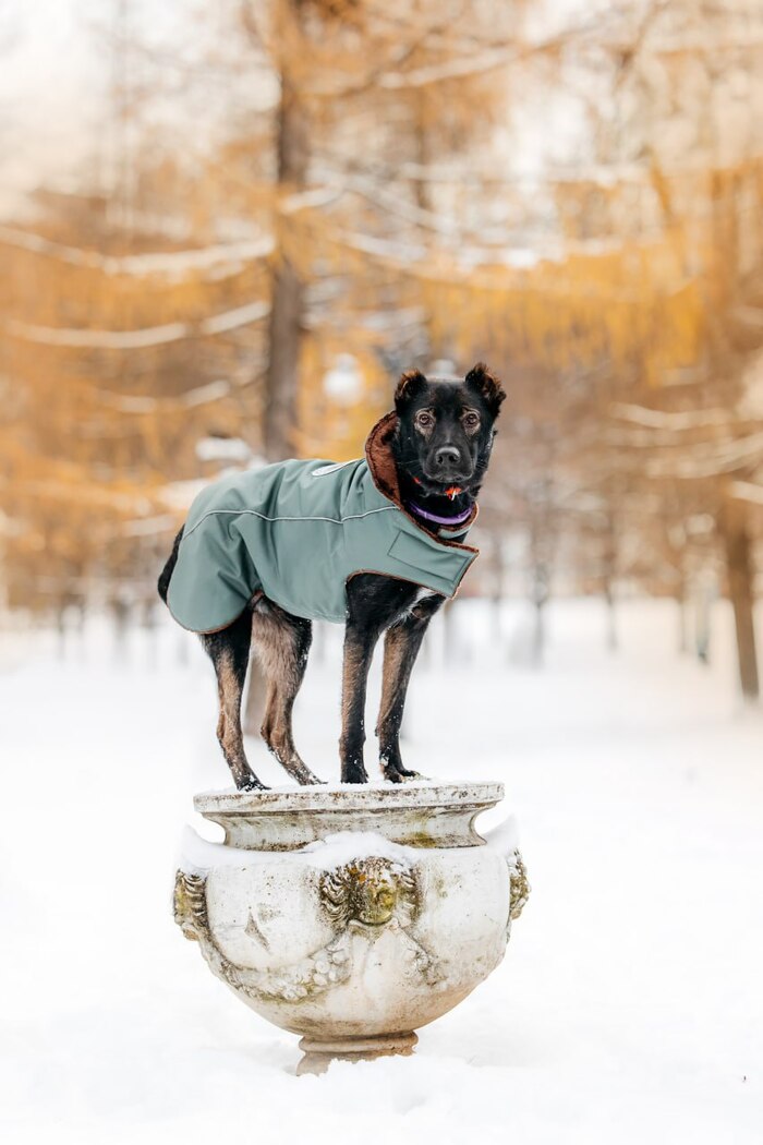 ���� �� ���� ������� ���������� � �������� 2023 ����