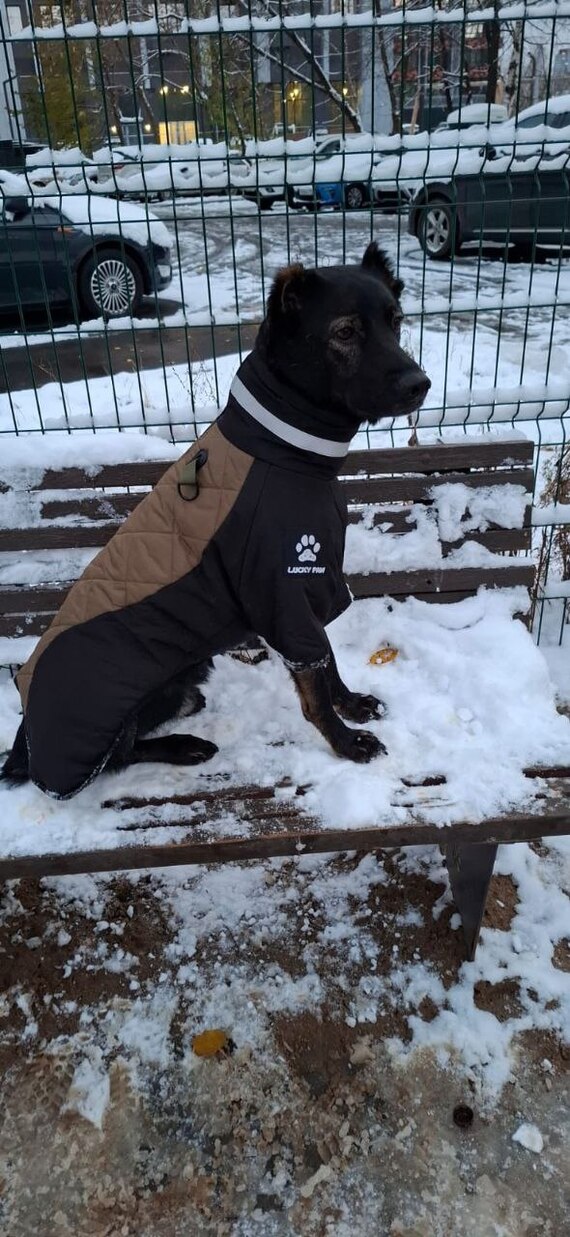 ������ �� ��������� ����� � ������� 2024 ����