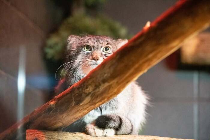 �� ����� �� �������, � ������� �� �����