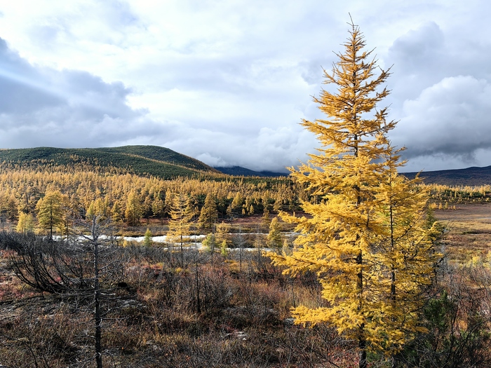 ������ ����� ����������� - ������� �����������!