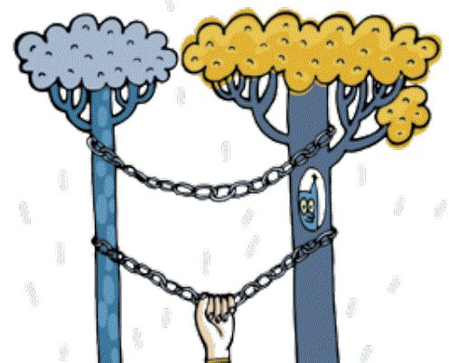 ����� �������