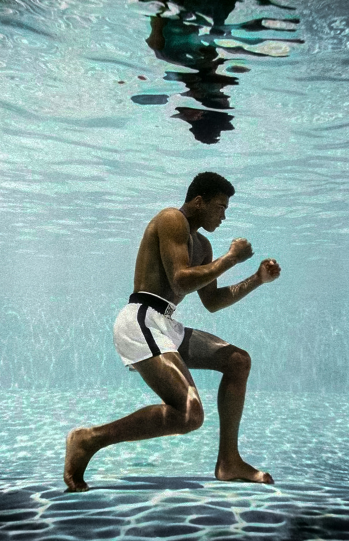 ��������: ���� ������