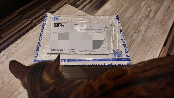  25  ,  ,  , 