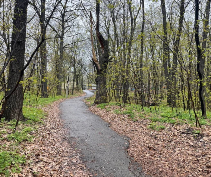 Тропинка в "Винновской роще"