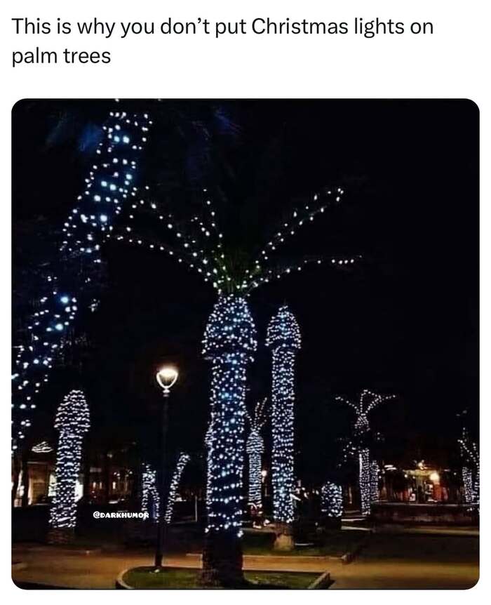 Новый год в тропиках