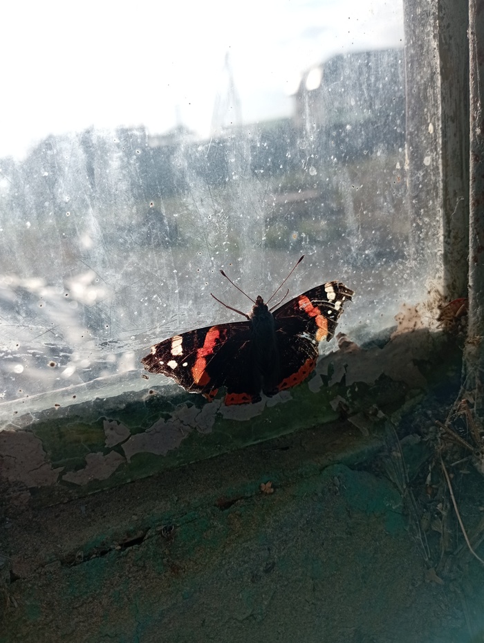 24 декабря 24