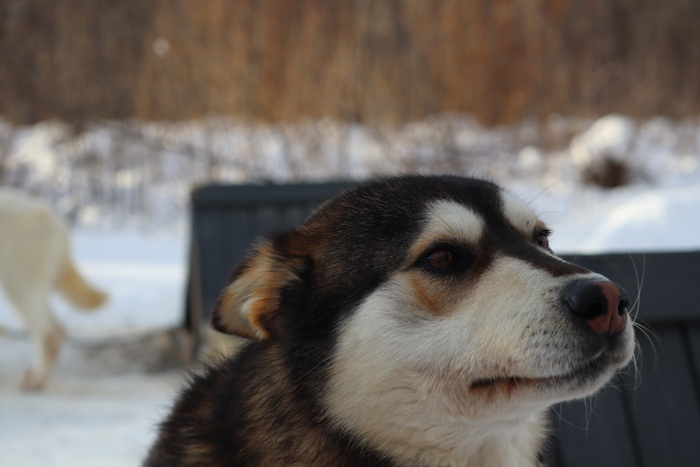 , ,  &#x263A;&#xFE0F;