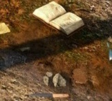 В Белом Саду в самом начале пути (именно где просыпается Геральт) неподалеку можно найти предметы что на фото.