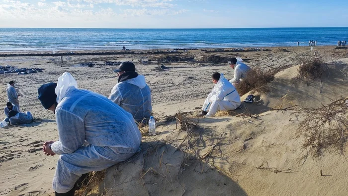 Ecological disaster in Anapa 4 - My, Ecological catastrophy, Anapa, Who if not us, Longpost