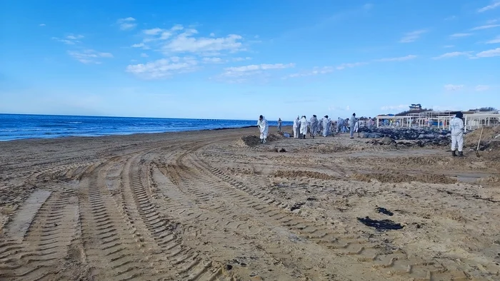 Ecological disaster in Anapa 4 - My, Ecological catastrophy, Anapa, Who if not us, Longpost