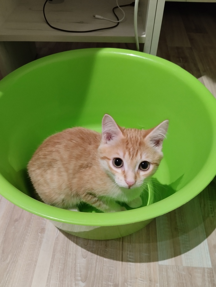  ? , , , ,  ,  , 