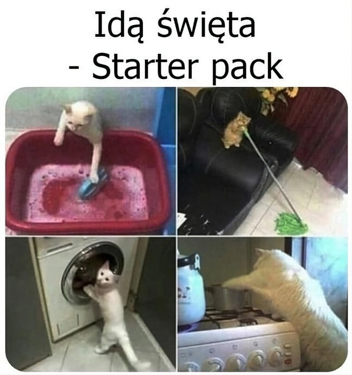 ����������� ���������, ��������� �����