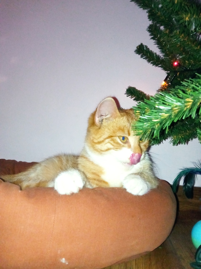 ��������� ������ ��� �����. 