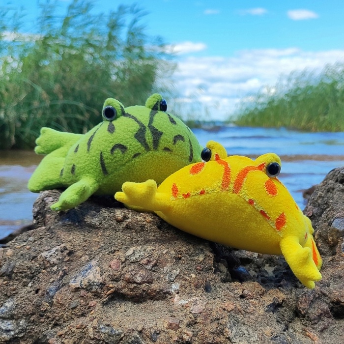 Прыгослав и Изюминка 23.06.24