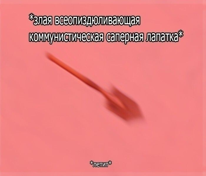 На случай важных переговоров - Кот, Мемы, Юмор, На случай важных переговоров, Длиннопост