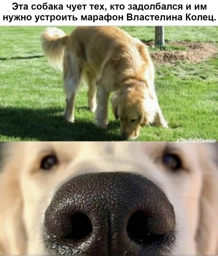    ?   ,  , , 
