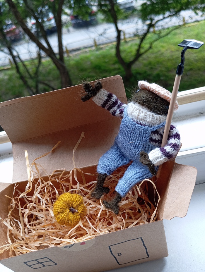 It Is Wednesday My Dudes!