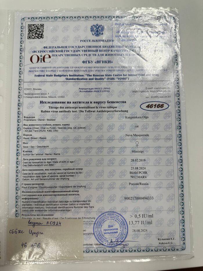 Исследование на антитела к вирусу бешенства (был доставлен почтой из Москвы). Очень важный документ 📃, только с ним Вам выдадут сертификат
