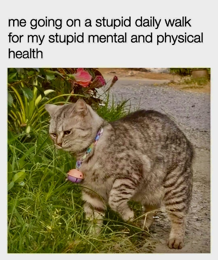            ,   , 