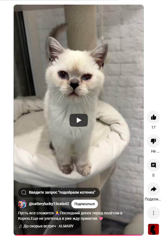 ��, � ��� � ��������? �� ����� ������ �������?