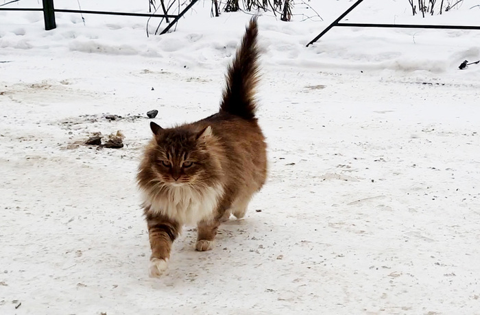 �������