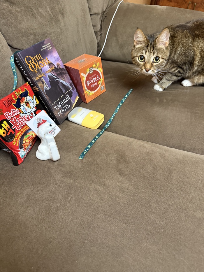 Кот Степан интересуется! Верёвочки-то красивые!