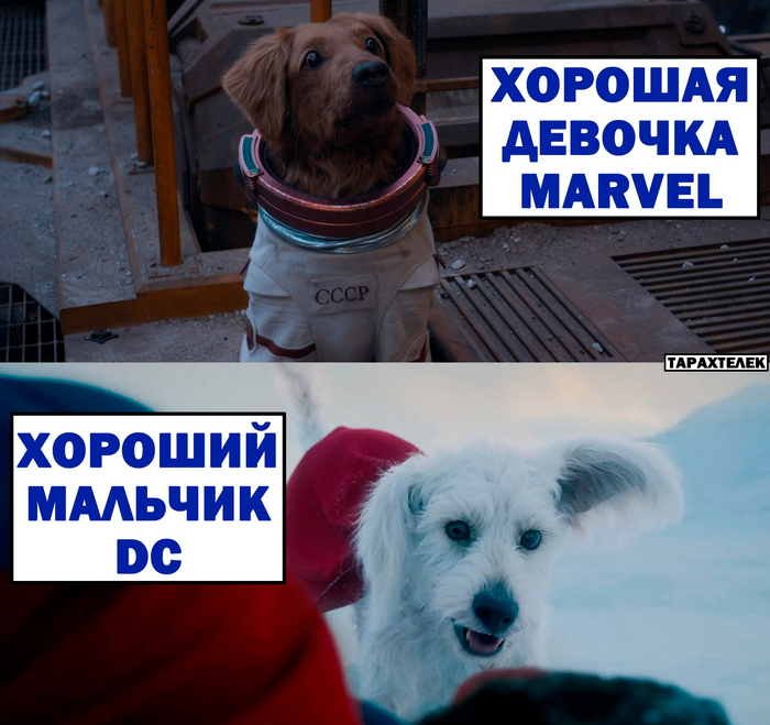  ! , ,  (),   , , Marvel, DC Comics, Marvel vs DC, ,  , 