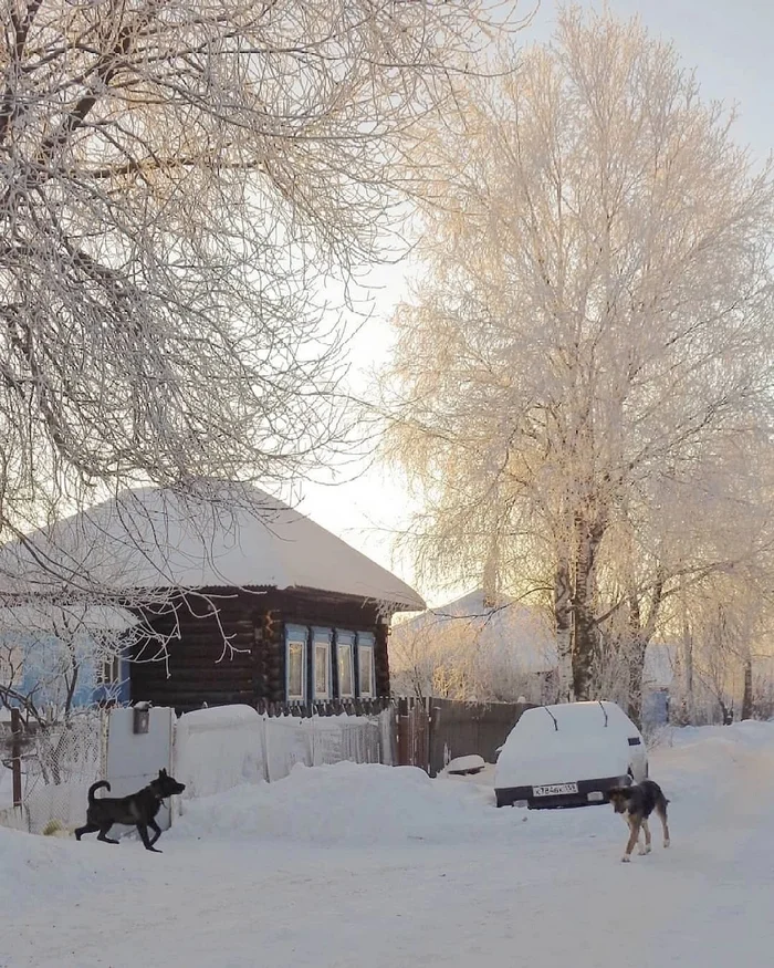 Деревня Верхнее Васильево, Пермский край Деревня, Пермский край, Фотография, Зима, Снег