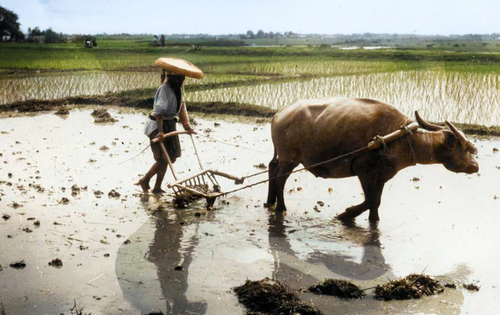 Необычные и интересные снимки из разных стран мира, сделанные в XX веке. 20 раскрашенных фотографий. Часть II Историческое фото, Старое фото, Фотография, Колоризация, 20 век, Мир, Длиннопост
