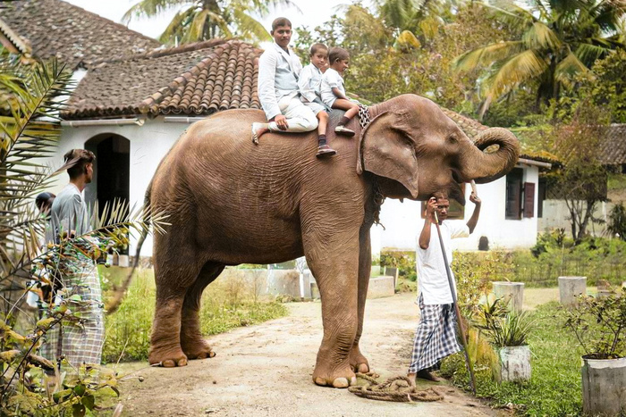 Необычные и интересные снимки из разных стран мира, сделанные в XX веке. 20 раскрашенных фотографий. Часть II Историческое фото, Старое фото, Фотография, Колоризация, 20 век, Мир, Длиннопост