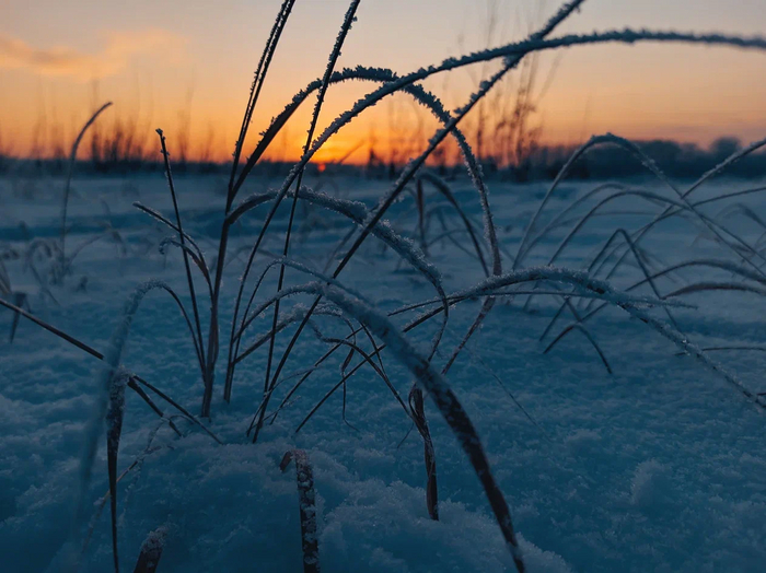 "! -    ,     :  ,   , ,   ,  "