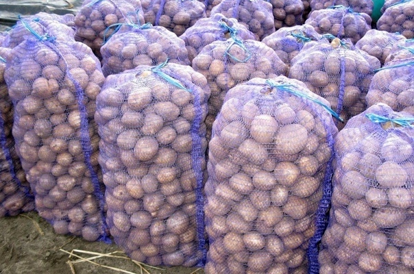 ����� ���� �� �������� ��� �� ��������� � ������