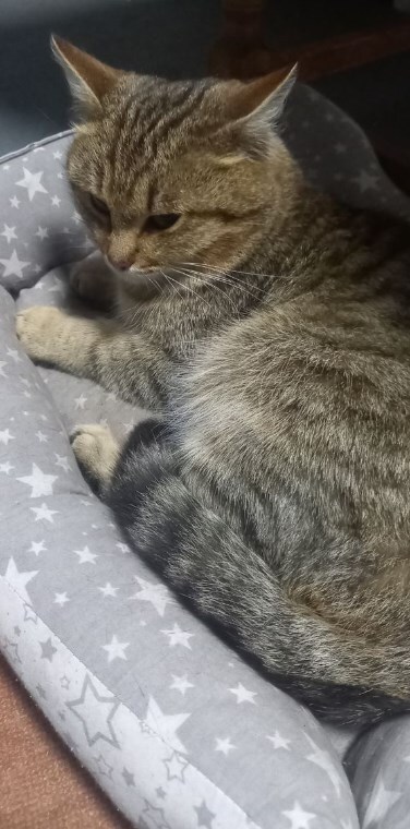   , ,  , , 