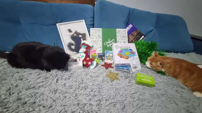    , ,   ,  ,   ,   ,   ,    -  ,    .