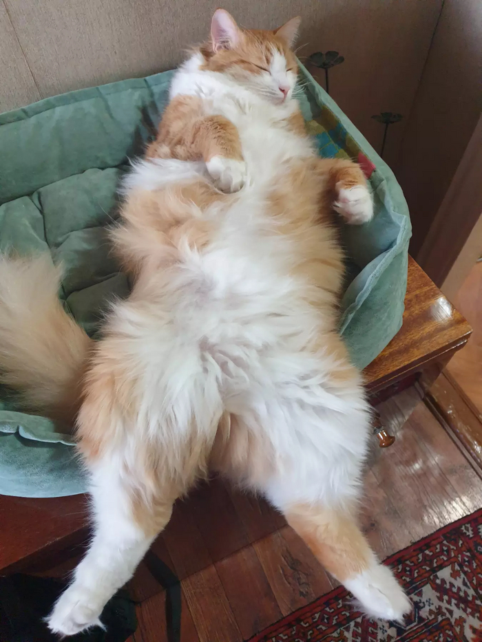 �� ����������...