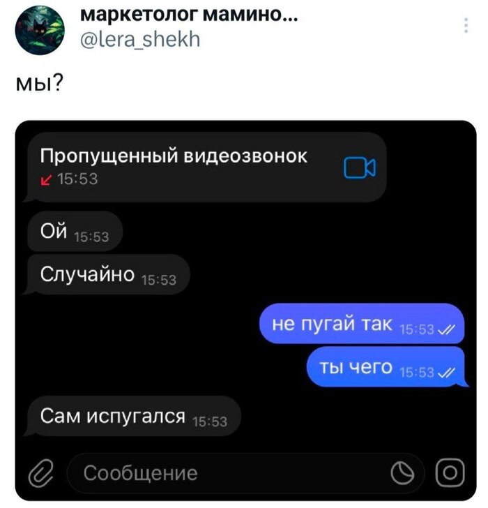 Пропущенный видеозвонок - Юмор, Мемы, Картинка с текстом, Telegram (ссылка)