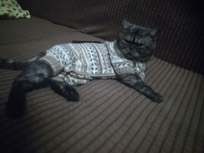 Манжеты на штаниках я подвернула что бы ему было комфортнее ходить.