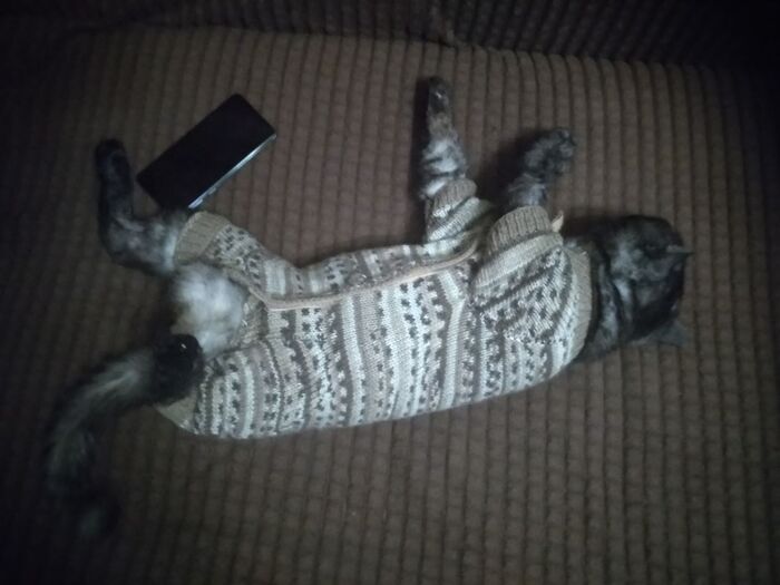 А на животике я вшила липучку, так легче его будет надевать и снимать.