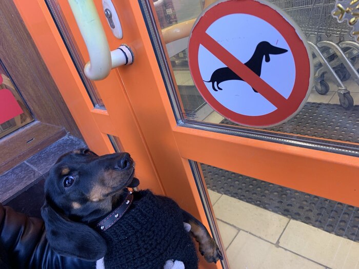   !   , ,  , , 
