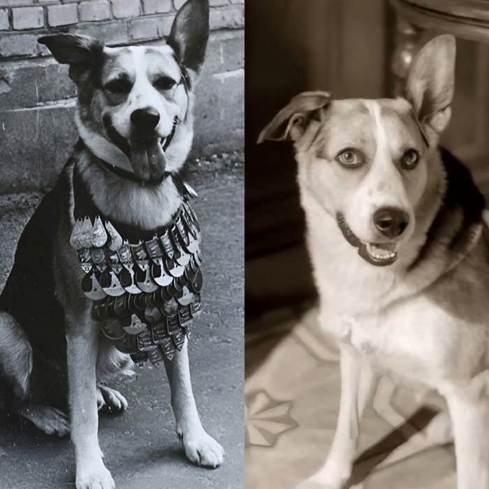 ϸ� ����� ����������� ���� ������ � ������ �������� ������, 1988 ���