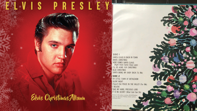 ���-�-����, ������