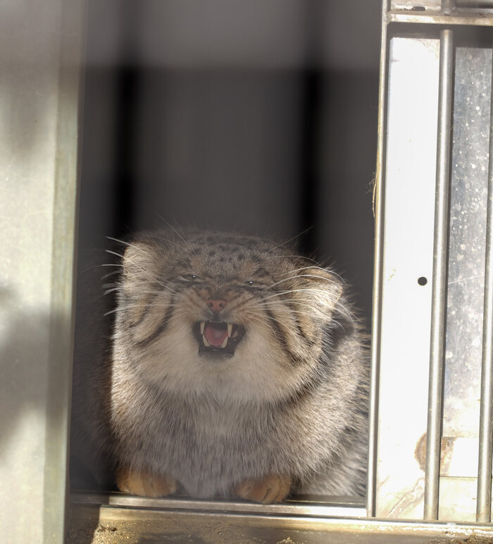 ������� �����������!!!